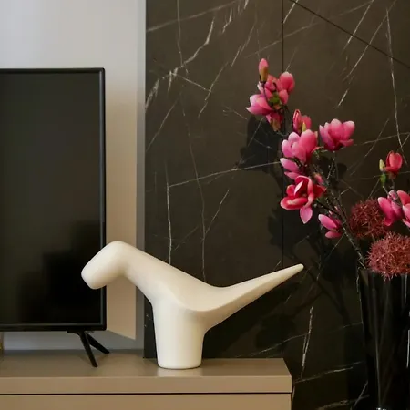 Supernova Deluxe נובי סאד